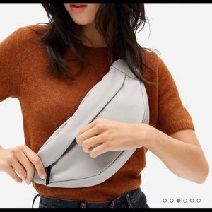 Renew Transit Bag in Taupe, Everlane NWT